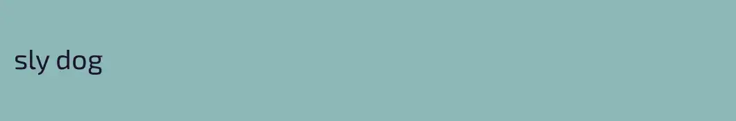 sly dog